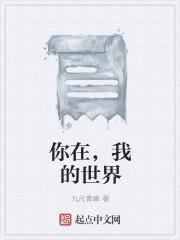 你在我的世界下落不明歌词含义