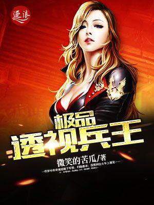 极品透视兵王 十纸