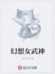 幻想女武神电脑