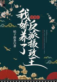 我娇养了反派摄政王书