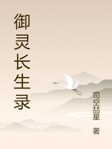 御灵录无限宝珠