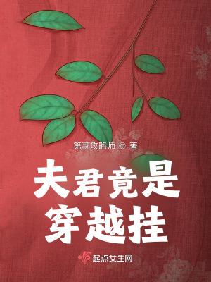 夫君乃穿越人士104