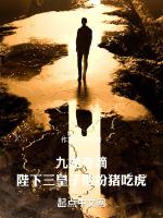 九龙夺嫡陛下三皇子他扮猪吃虎 十月未央