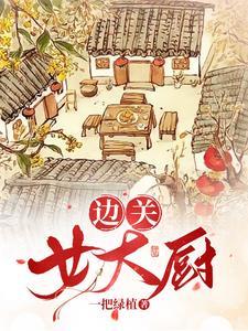 边关女大厨txt盘