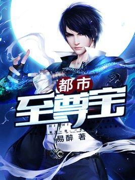 都市至尊宝鉴叶天龙