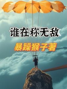 谁在称无敌哪个敢言不败第几章