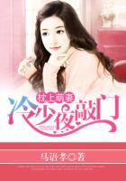 枕上萌妻冷少夜敲门 雅瞳