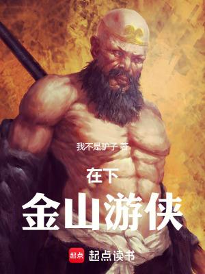 在下金山游侠