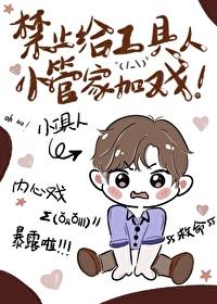 禁止给工具人小管家加戏免费观看