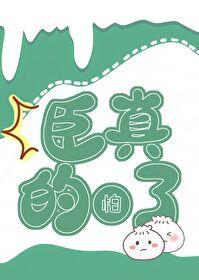 穿为女扮男装的丞相后作者辞邩不醉