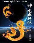 神龙五什么