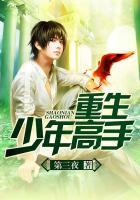 重生少年游戏破解版