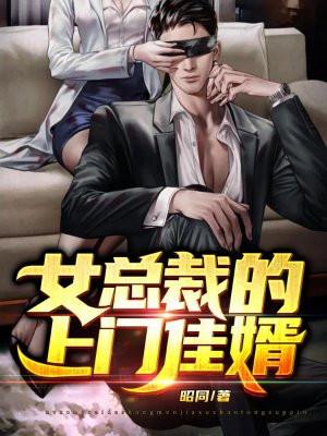 女总裁的上门佳婿