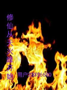 天火王氏:雄起雄起