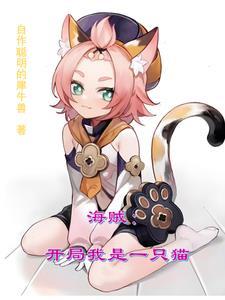 海贼:开局我是一只猫