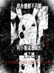 宝可梦:跨越世界的传奇