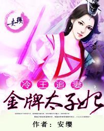 冷王追妻:金牌太子妃