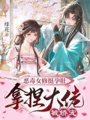 恶毒女修挺孕肚,拿捏大佬被娇宠
